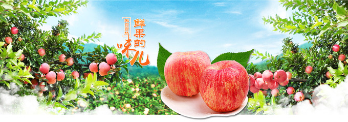 順農(nóng)果品現(xiàn)代農(nóng)業(yè)園區(qū) 探索果品產(chǎn)業(yè)的科技與創(chuàng)新之路